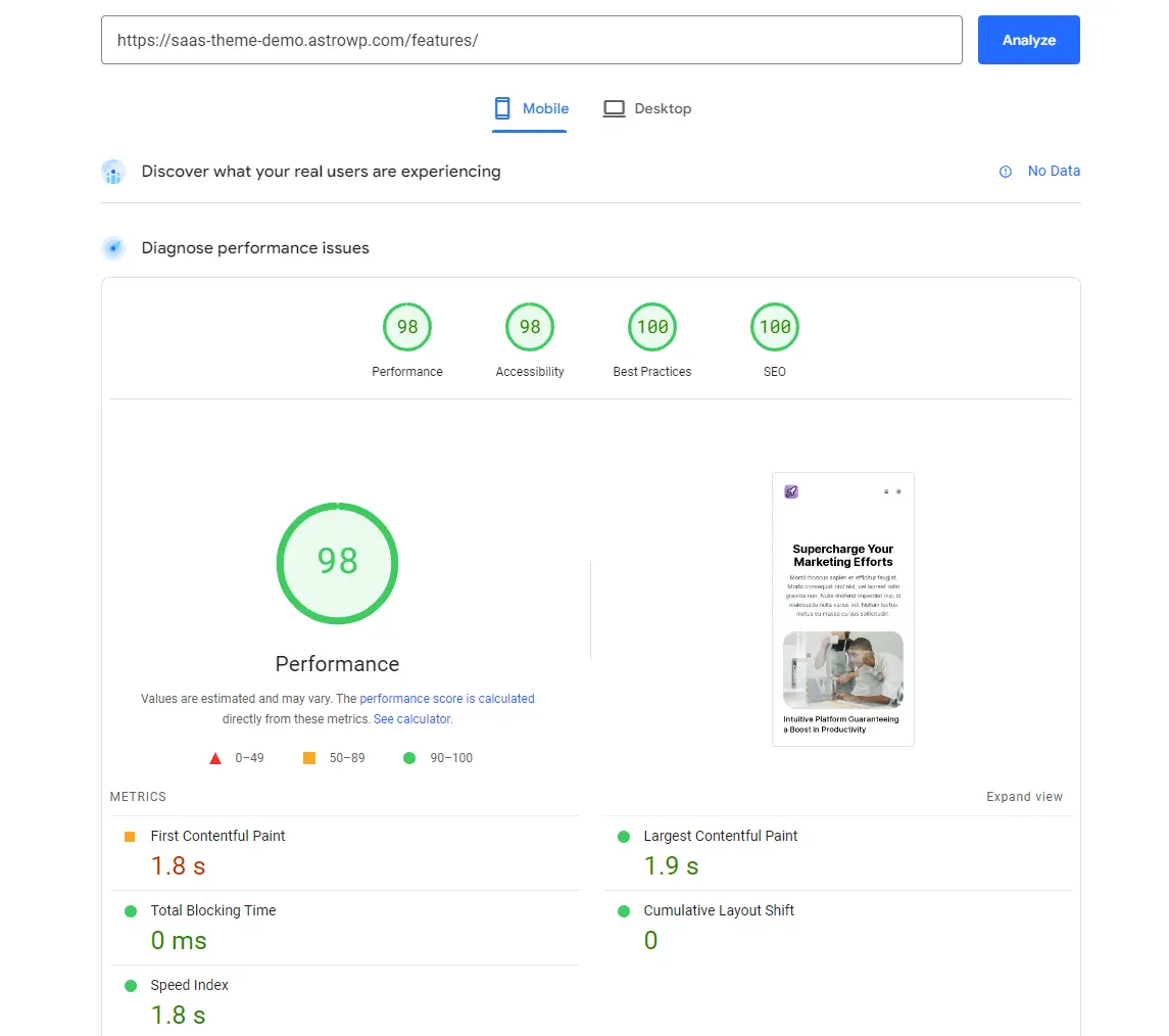Google Page Speed Insights Result